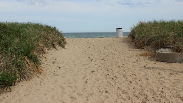 Een zandpad langs het strand dat naar de zee leidt, met grasduinen aan weerszijden.