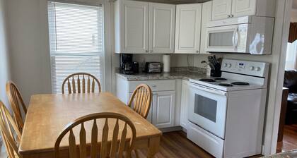 Oceanview 3 bedrooms apt ! 5th house from the beach