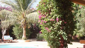 Outdoor pool, pool umbrellas, pool loungers