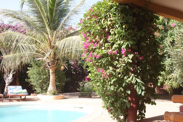 室外游泳池,池畔遮阳伞,日光浴躺椅