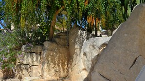 Un banco de piedra con piso de baldosas, rodeado de rocas grandes y follaje.