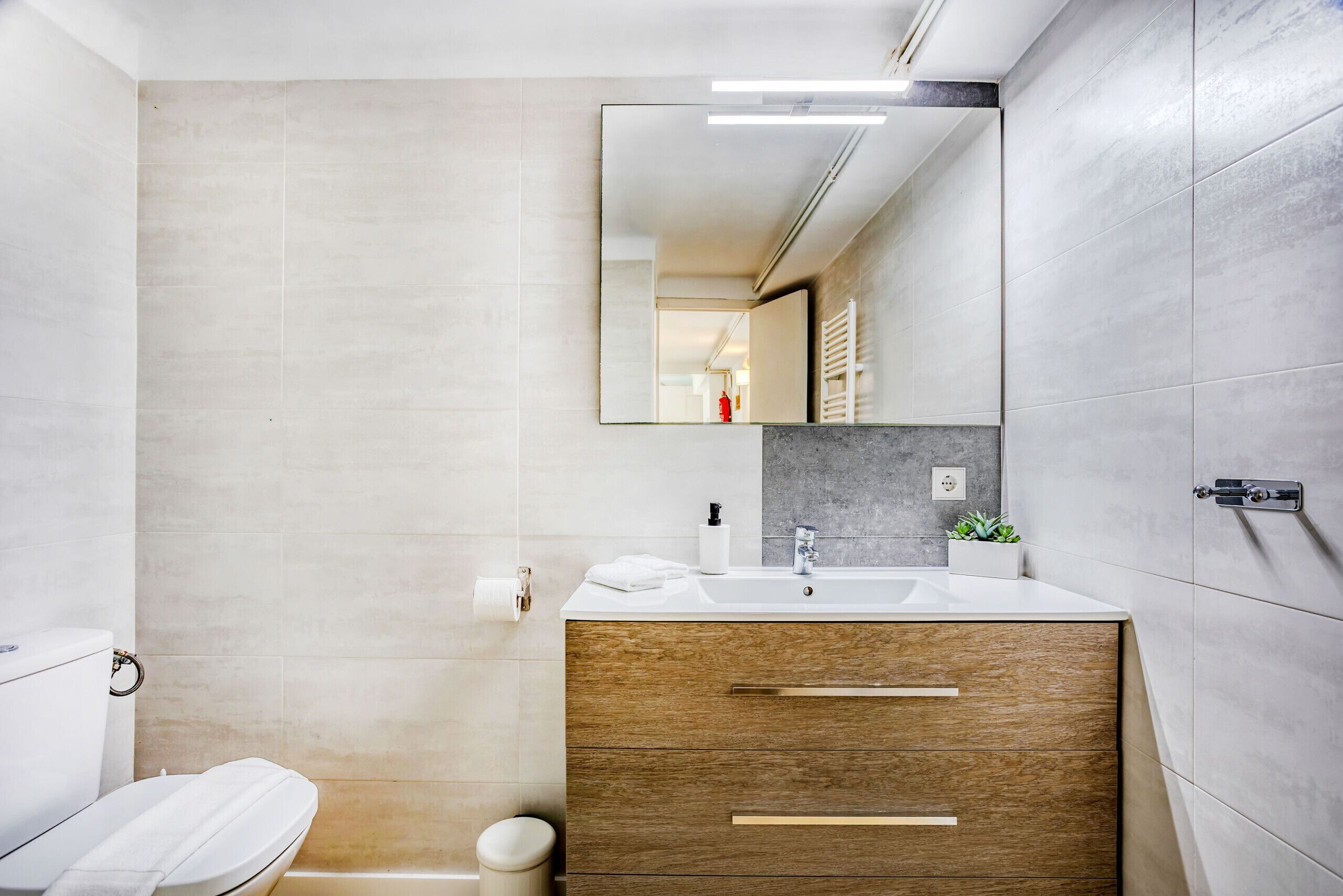 Dusche, Haartrockner, Handtücher