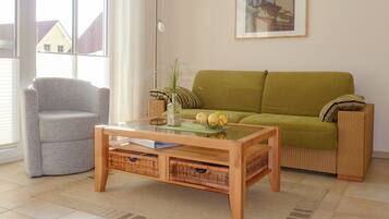 TV connectée, cheminée, lecteur de DVD, livres