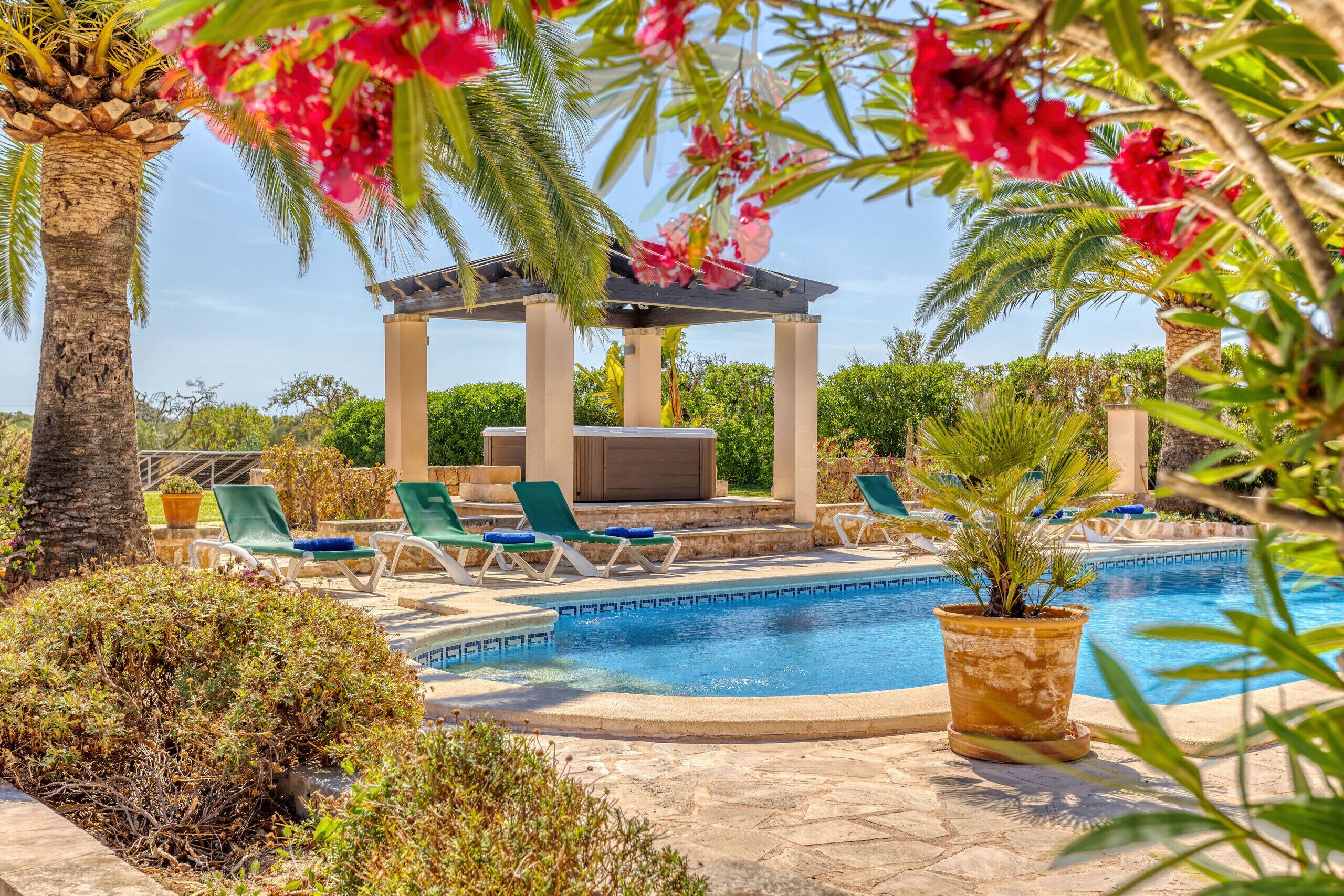Un espace piscine aménagé avec des chaises longues, une pergola et un palmier.