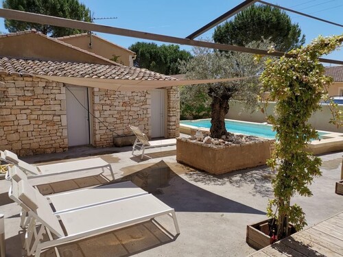 Coste Investissement - Le vieil olivier 5