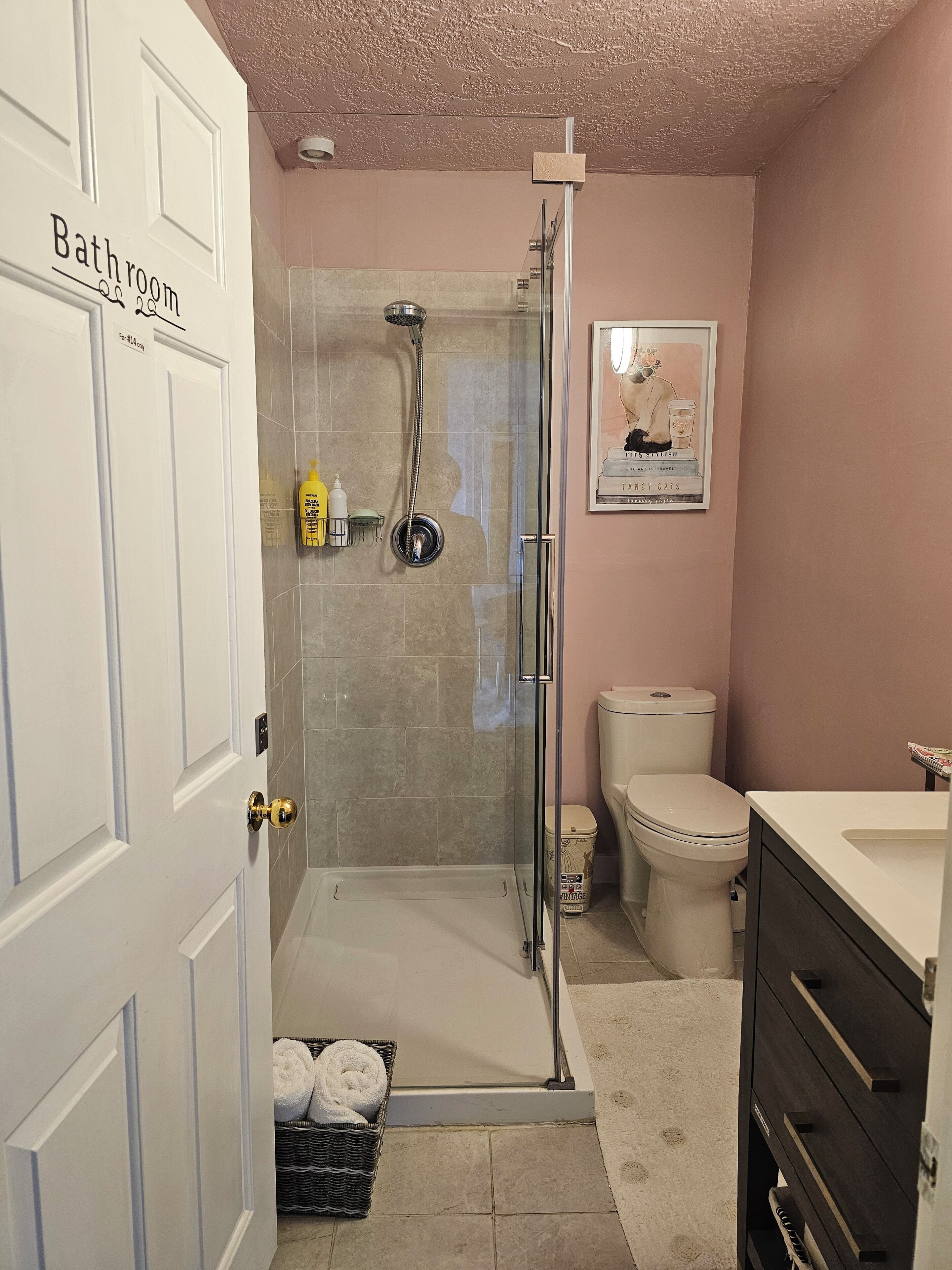 Un baño con cabina de ducha de vidrio, inodoro y lavamanos.