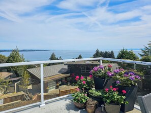 Exterior - HOV B&B House -Hospitality Ocean view Victoria- (Victoria)
