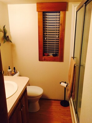 Shower, hair dryer, towels, shampoo