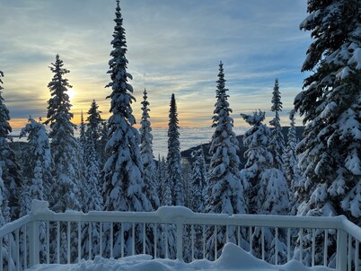 One of a Kind Upscale Home w/Laundry, Private Hot Tub, media room & pet friendly