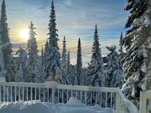 Property grounds - One of a Kind Upscale Home w/Laundry, Private Hot Tub, media room & pet friendly (Silver Star Mountain)