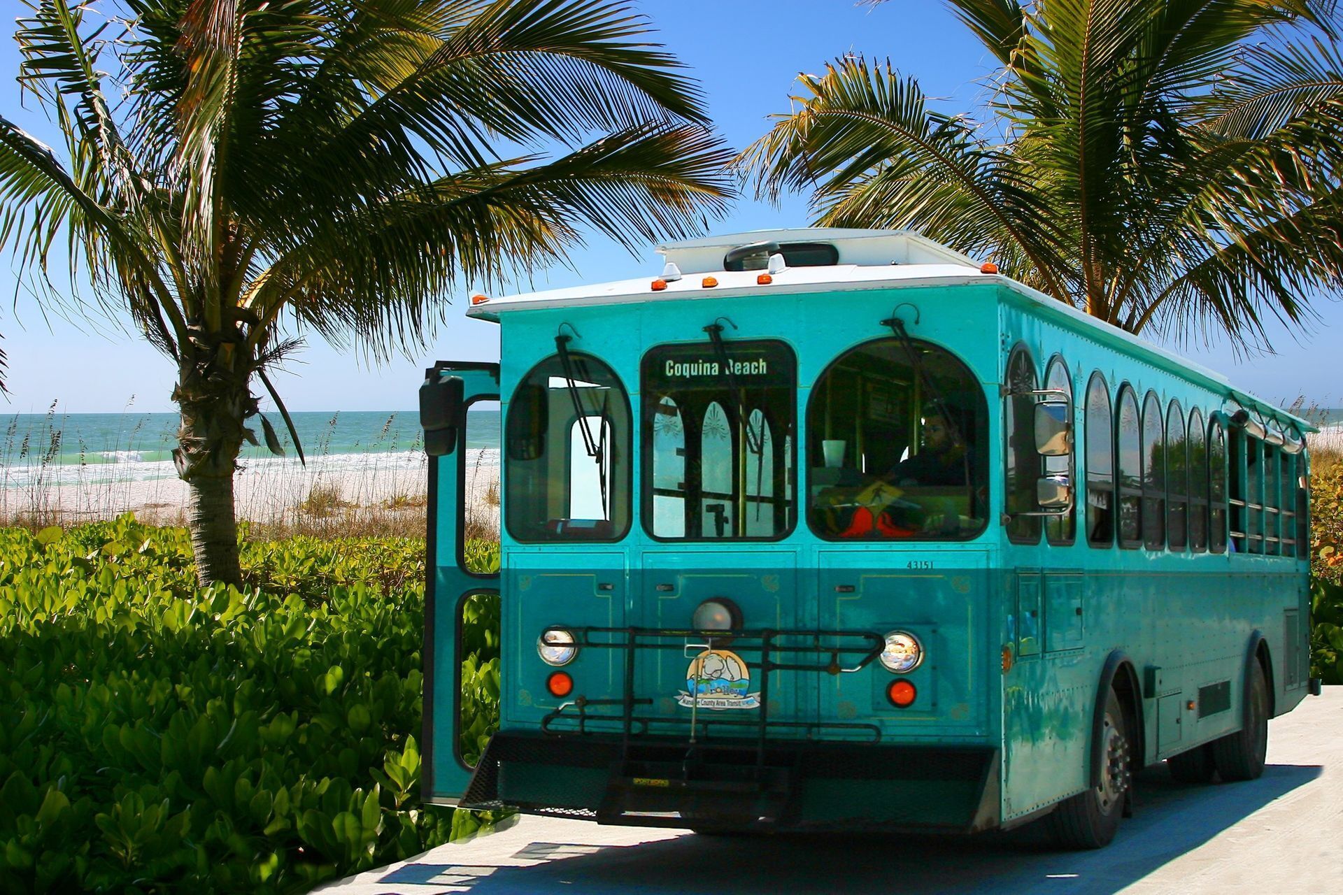 Un autobus turquoise portant une enseigne indiquant « Coquina Beach », garé sur une route bordée de palmiers, avec la plage en arrière-plan.