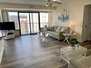 电视、DVD 播放器