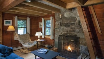 Living area | Fireplace, books