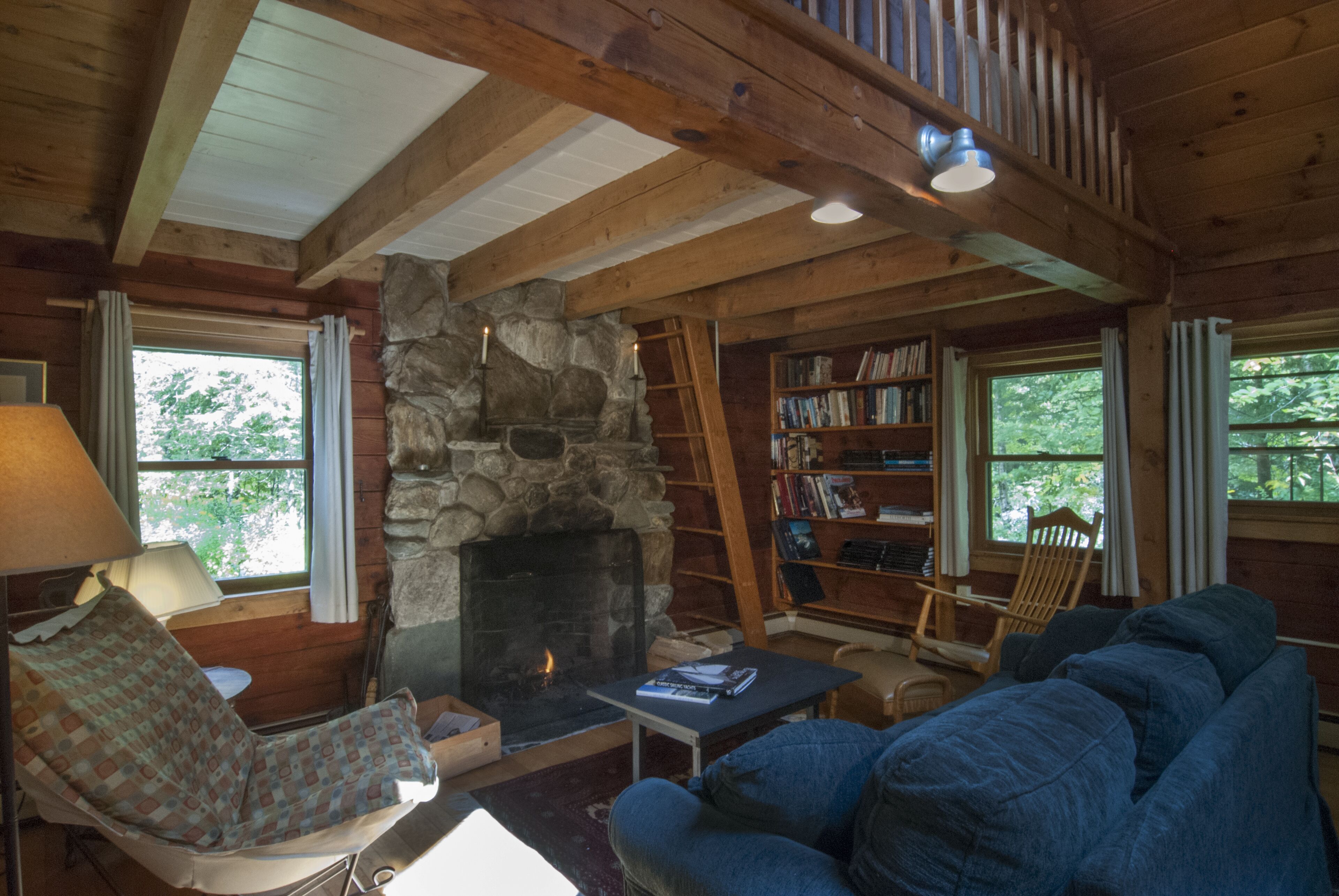 Fireplace, books