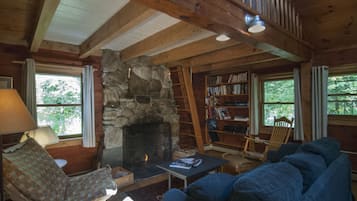Fireplace, books
