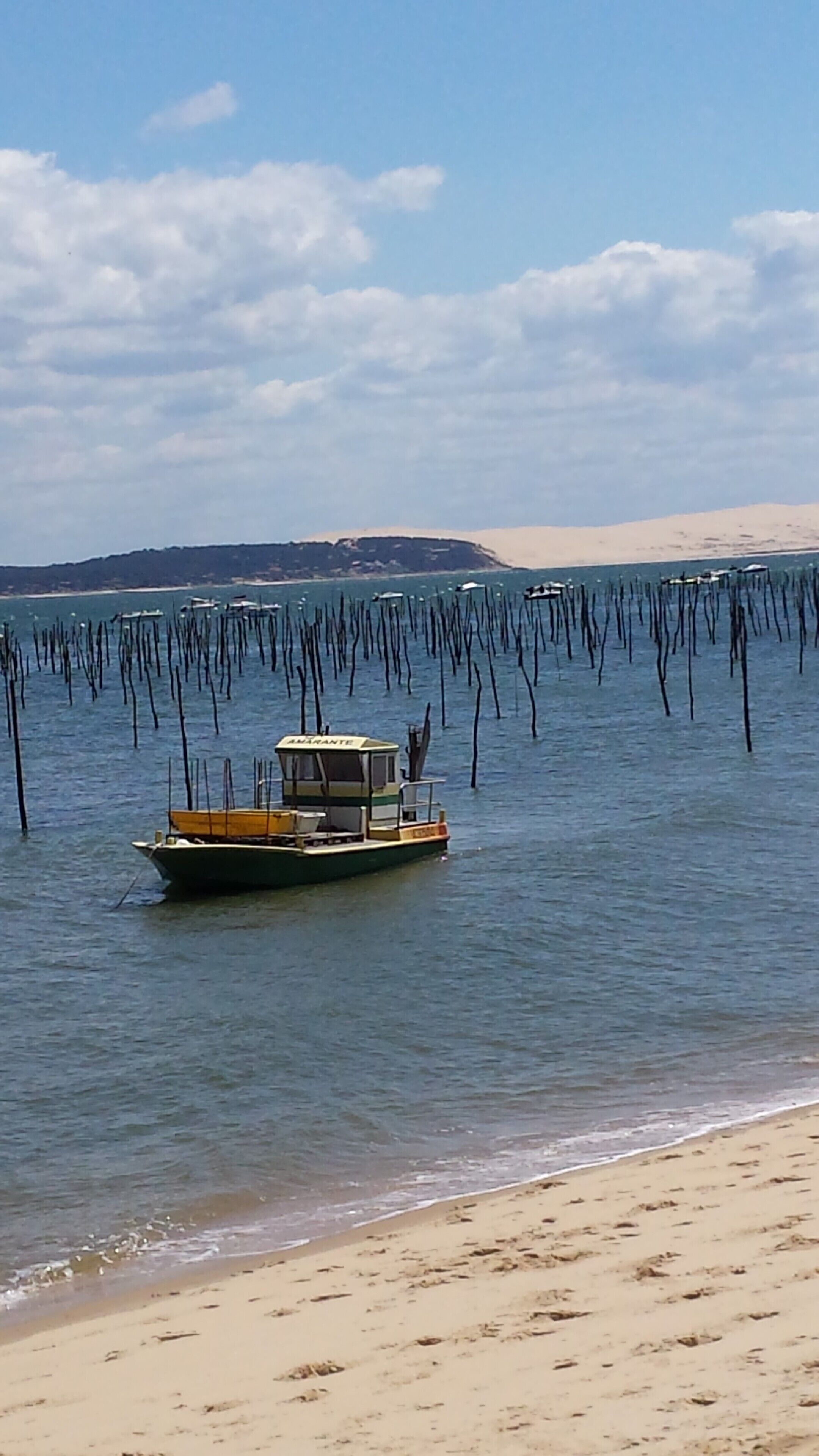 Strand