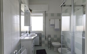 Shower, hair dryer, bidet, towels