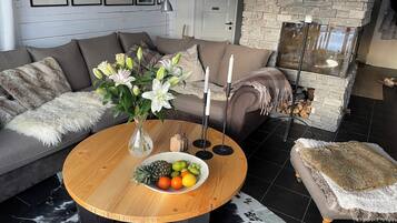 Una televisión, una chimenea, un reproductor de DVD, libros