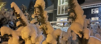 Utsikt over reinfjellet