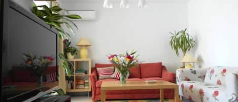 Tv, dvd-afspiller, bøger