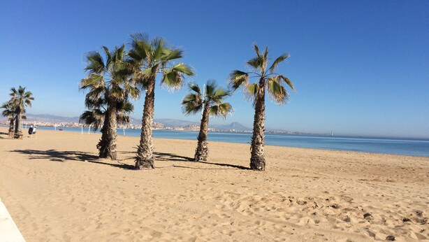 A sandy beach with palm trees and a clear blue sky. - AIR CONDITIONING, FREE WIFI, NE TFLIX, ONLY 2 MINUTES BEACH (Alicante)