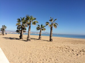 Une plage de sable bordée de palmiers, sous un ciel bleu et dégagé.