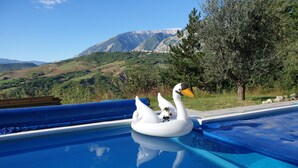 A swimming pool with a swan float and a dog. - Nestled in the Wooded Foothills of the Maiella National Park, Abruzzo, Italy (Limiti Di Sotto)