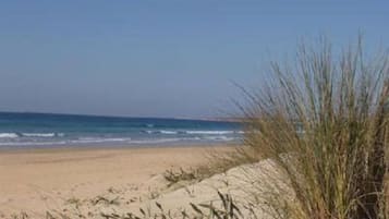 Vlak bij het strand, strandlakens