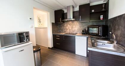 Moderni talo 100m2 luokiteltu 3 * - 4 / 6pers - Big Garden