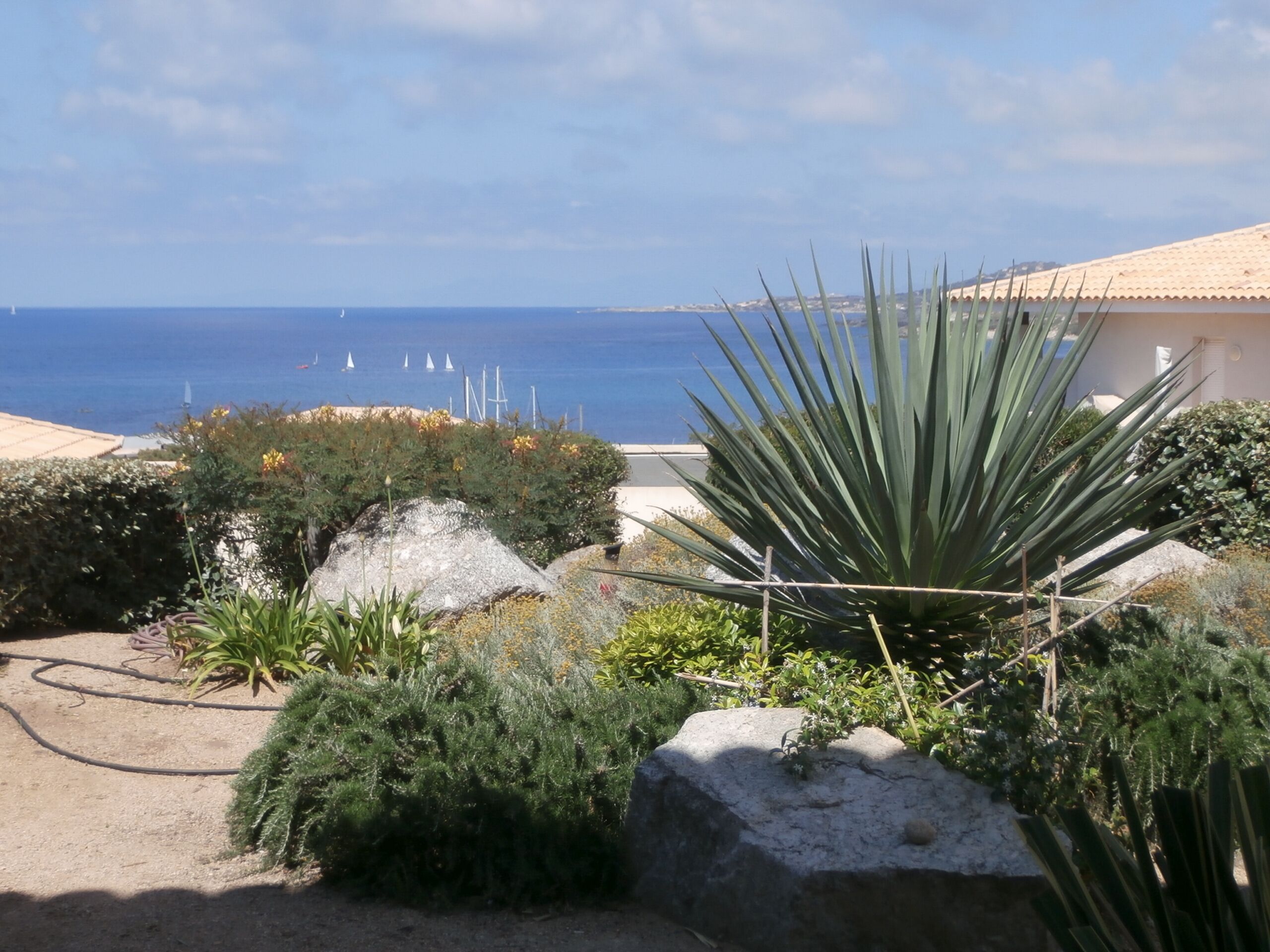 Un jardín costero con vistas al mar y veleros.