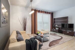 TV, fireplace, video games, DVD player