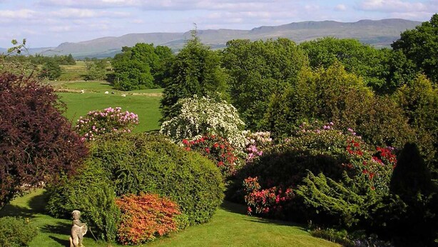 A lush garden with a variety of flowering plants and a statue in the foreground.