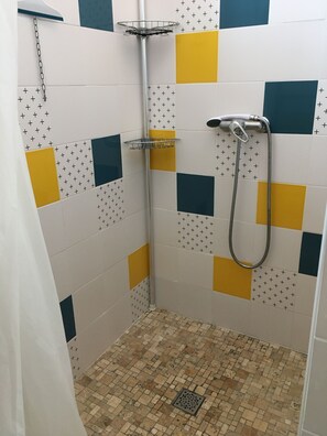 Douche, séchoir à cheveux, papier de toilette