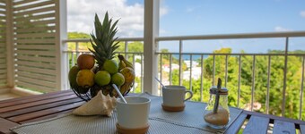 ✅ 45m² T2 Appart'Hotel with its clear ocean view