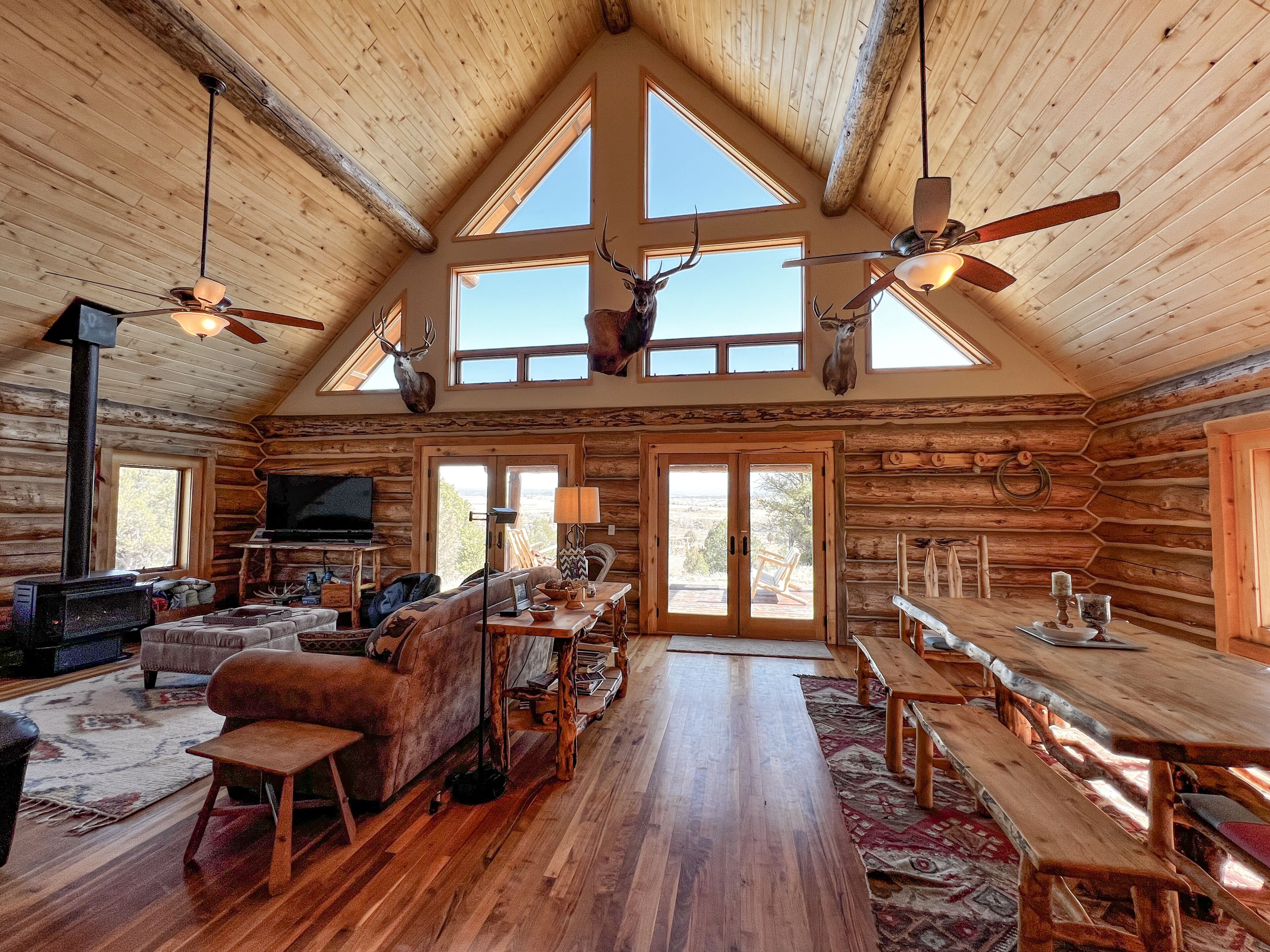 TV connectée, cheminée, lecteur de DVD, livres