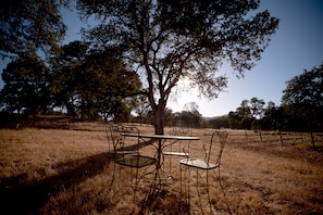 Un entorno rústico al aire libre con una mesa y sillas de metal bajo un árbol grande, rodeado de hierba seca y una valla en el fondo.