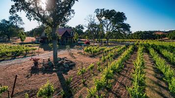 Áreas de la propiedad