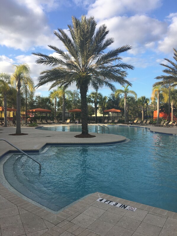 Relax by the pool surrounded by palm trees and lounge chairs.