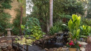 A garden with a small bridge, a pond, and various plants. - Beautiful 1 Bedroom Apartment minutes to SFO in Victorian Home (Can sleep 4) (South San Francisco)