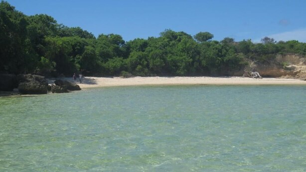 A beach with clear water, a sandy shore, and dense greenery in the background. - Emeraude lodge (Antsiranana)