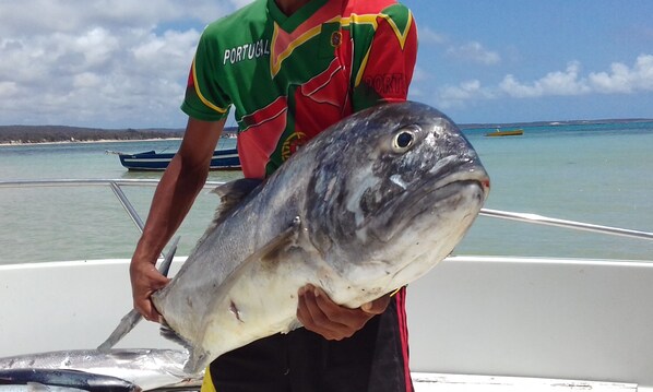 A person holding a large fish on a boat with calm water and distant land in the background.