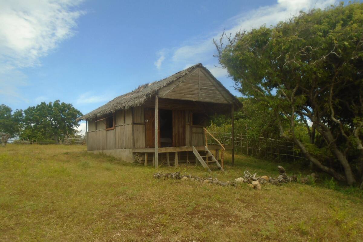 A rustic wooden house with a thatched roof, a wooden porch, and a fenced yard.