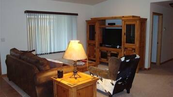 Smart TV, fireplace, DVD player, books