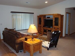 Smart TV, fireplace, DVD player, books