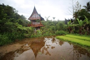 Property grounds - Padi Ecolodge (Bukittinggi)