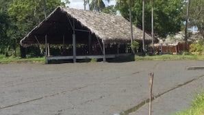 A simple, open-air structure with a thatched roof, surrounded by a dirt area and trees. - Kamatha Resort (Polonnaruwa)
