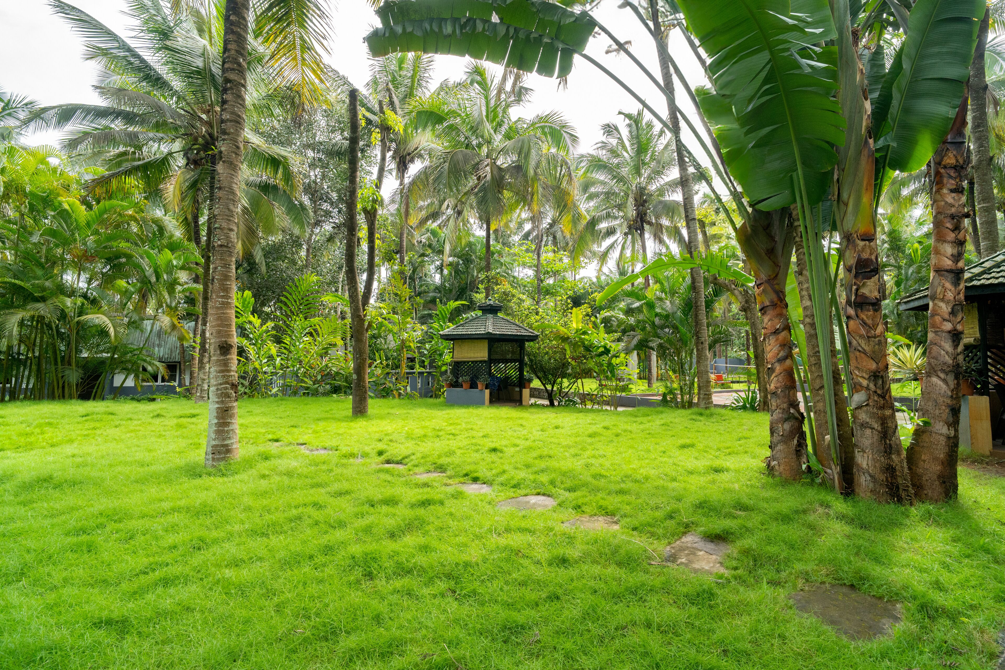 Un jardin luxuriant, agrémenté de palmiers, d’un belvédère et d’un sentier en pierre.