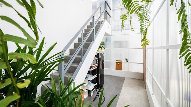 A modern interior with a staircase, indoor plants, and a white wall. - Morn-Ing Hostel (Bangkok)