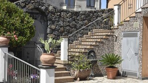 Una escalera de piedra que sube a un segundo piso, rodeada de macetas con plantas y una barandilla de metal.
