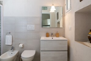 Shower, hair dryer, bidet, towels
